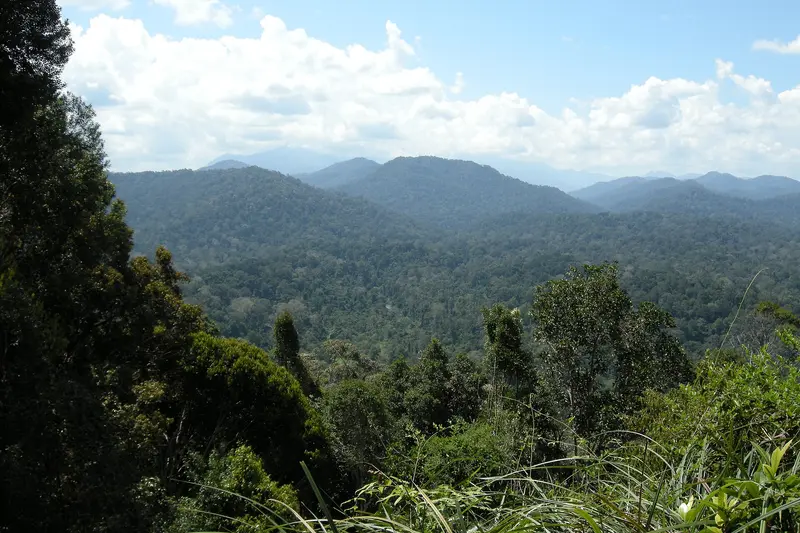 Taman Negara National Park