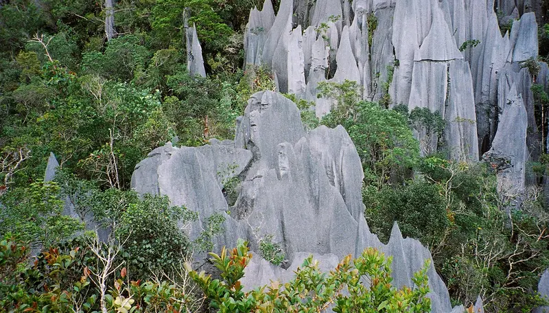 Mulu National Park