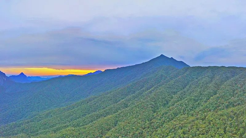 Gunung Mulu Nationalpark