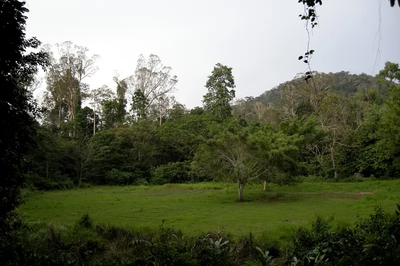 Taman Negara National Park