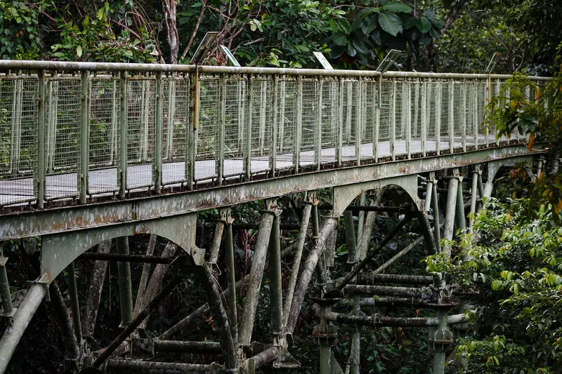 Rainforest Discovery Centre (RDC)