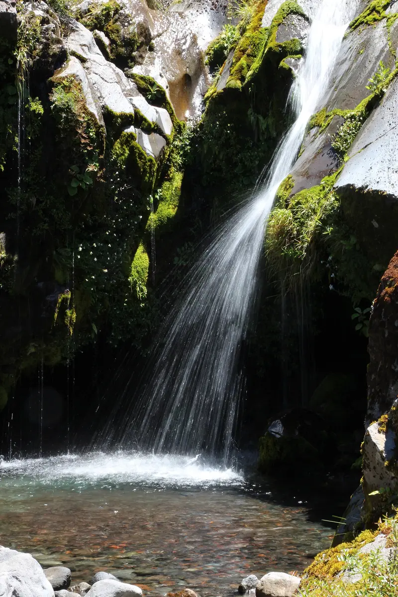 Wilkies Pools