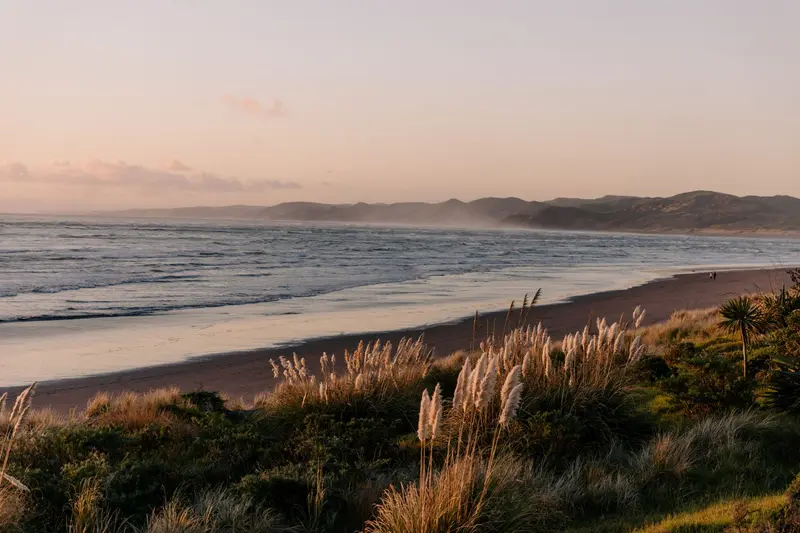 Raglan