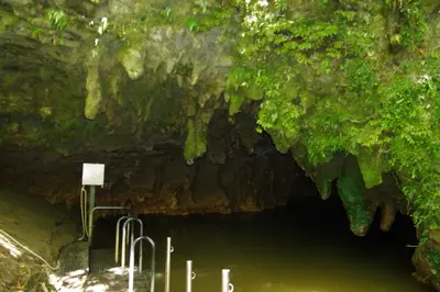 Waitomo