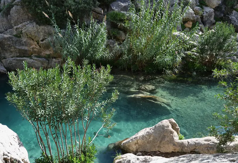 Fonts de l'Algar