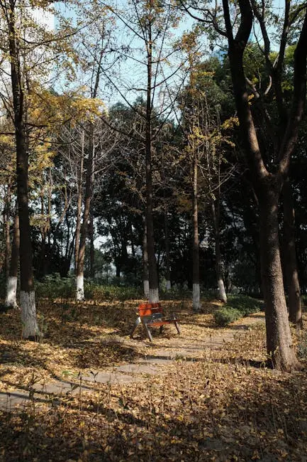 Parque Nacional de Doñana