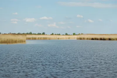 Neusiedler See