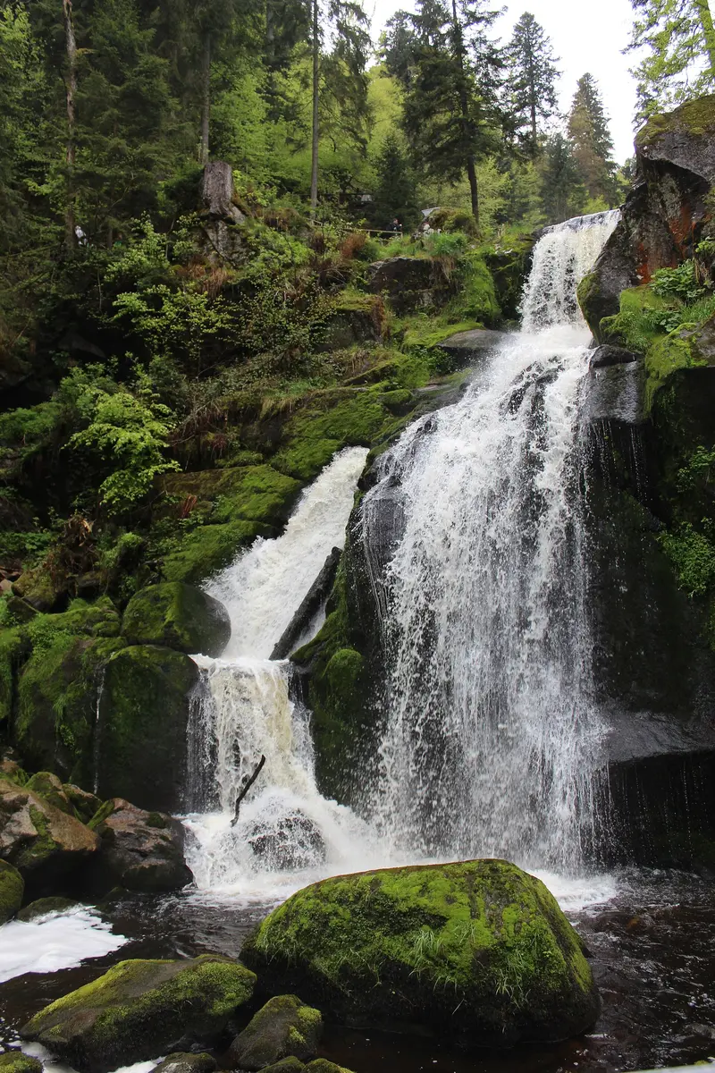 Triberg Waterfalls