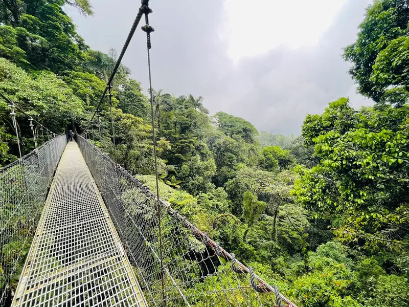 Místico Arenal Hanging Bridges Park