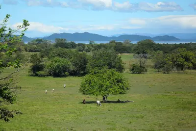 Halbinsel Nicoya
