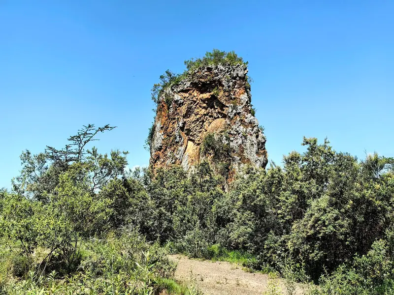 Central Tower