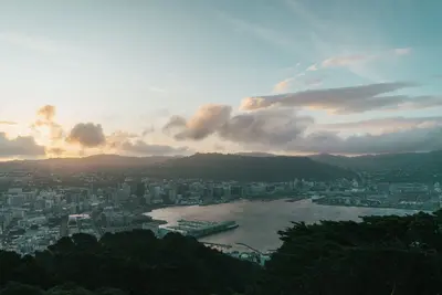Wellington (City)