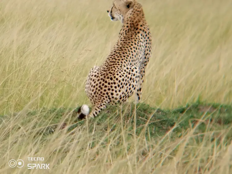 Olare Motorogi Conservancy