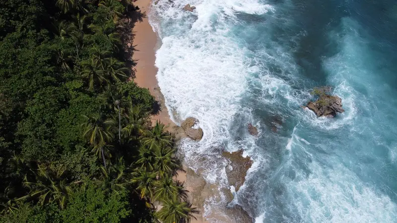 Cahuita