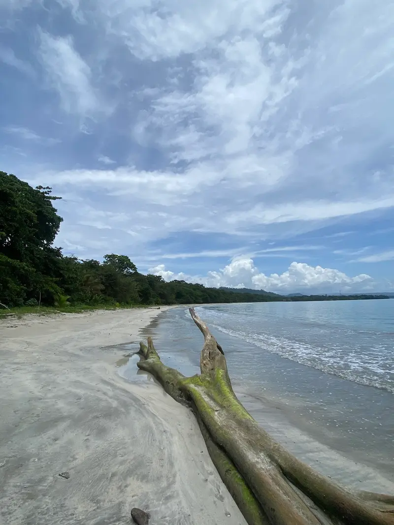 Cahuita National Park