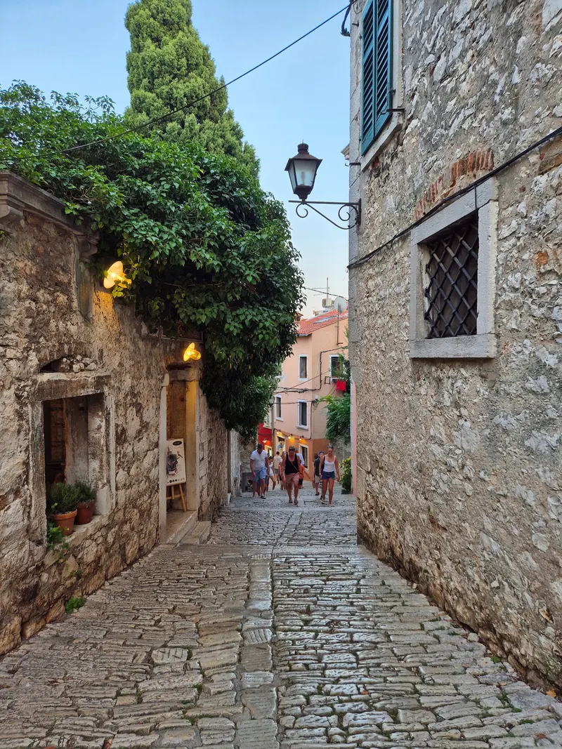 Grisia