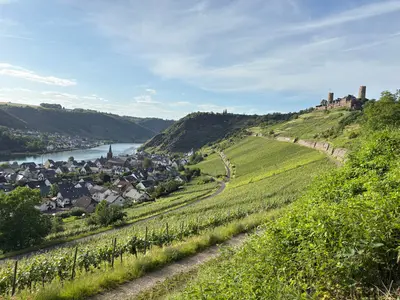 Boppard