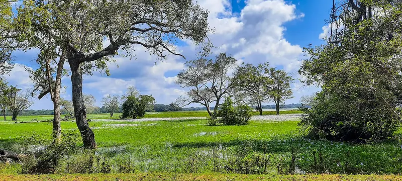 Lahugala Kitulana National Park