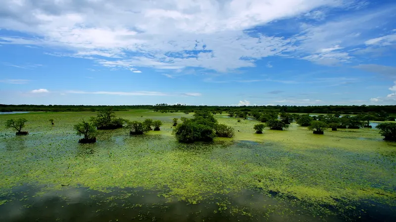 Kumana National Park