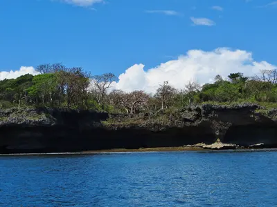 Wasini Island & Kisite-Mpunguti