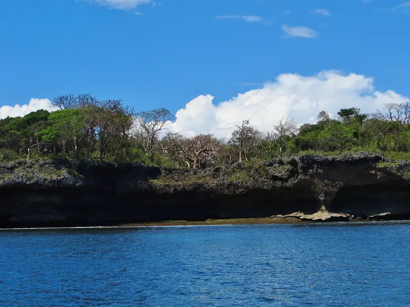 Wasini Island & Kisite-Mpunguti