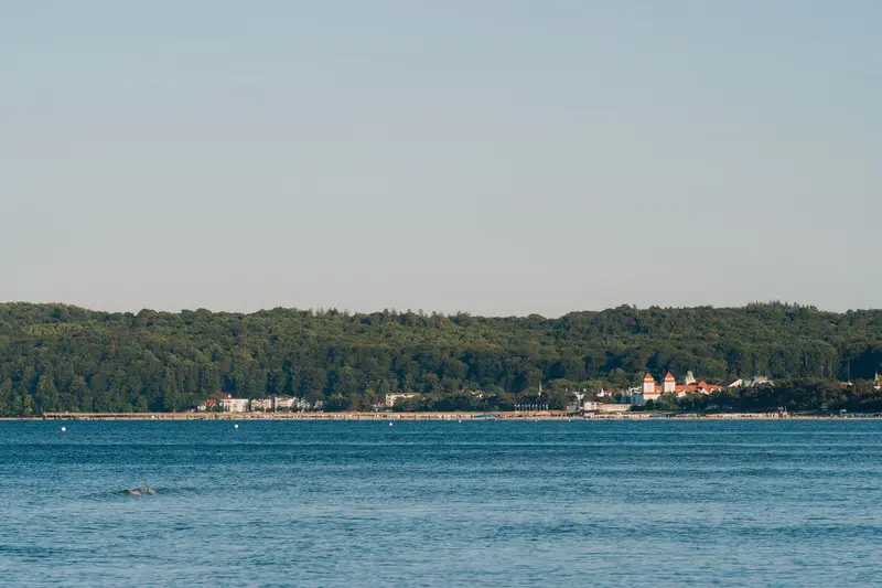 Binz