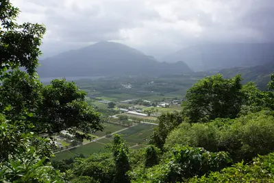 Luye
