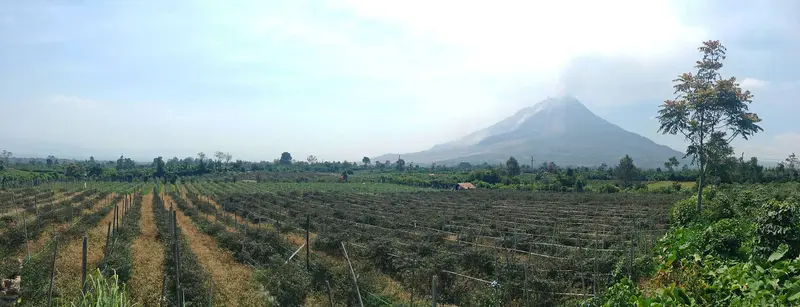 Berastagi
