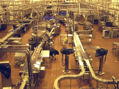 Tillamook Cheese