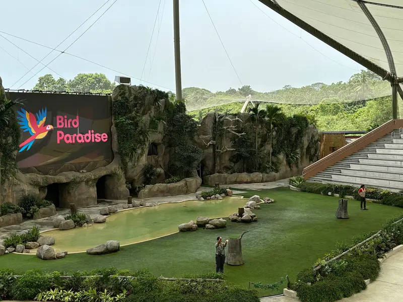 Bird Paradise