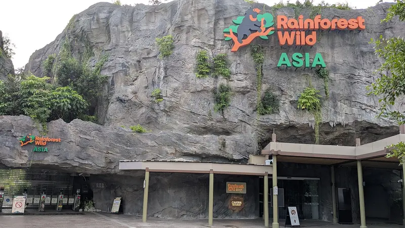 Rainforest Wild Adventure