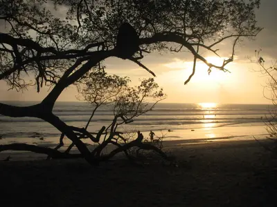Santa Teresa
