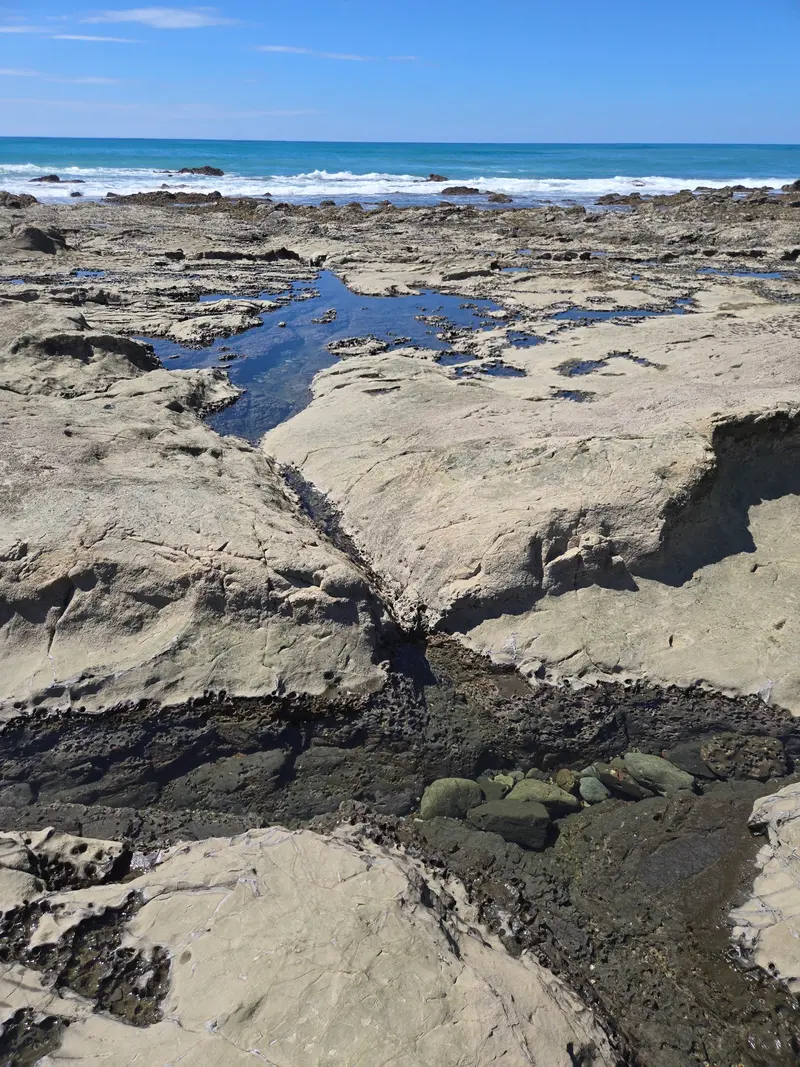 The Tidal Pool of Mal País