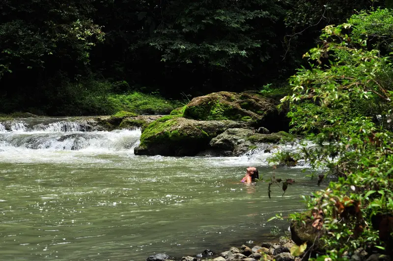 Refugio de Vida Silvestre Punta Río Claro