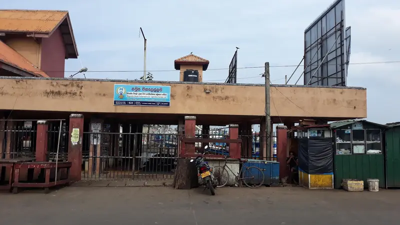Fischmarkt Negombo (Lellama)