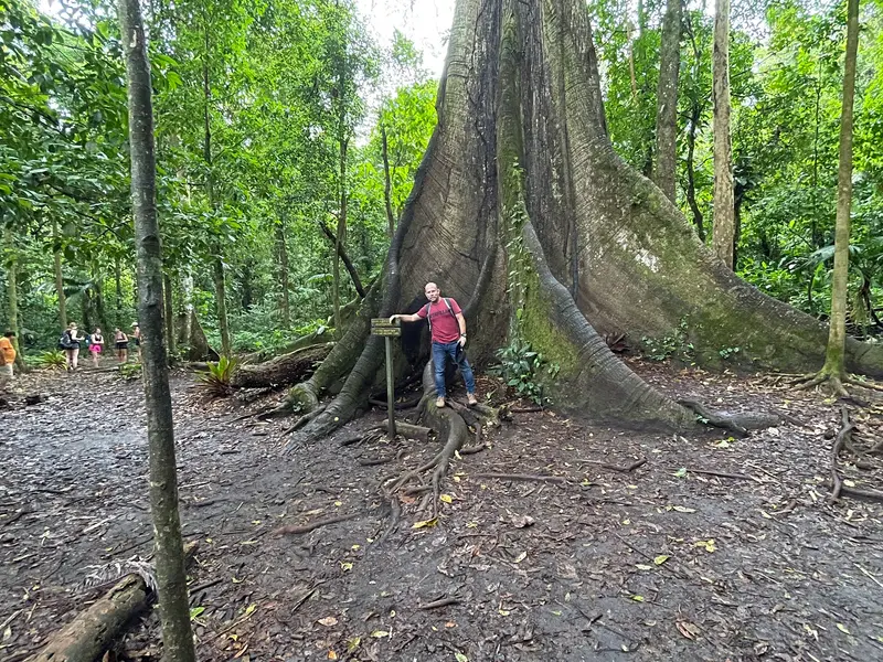 Sendero El Ceibo