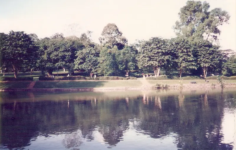 Swan Lake
