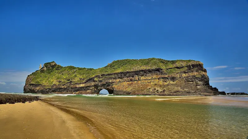 Wild Coast Explorer