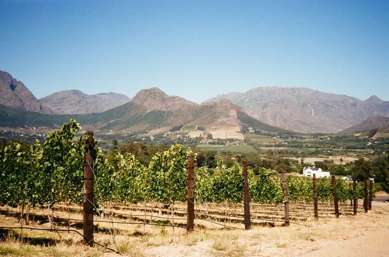 Kap & Winelands