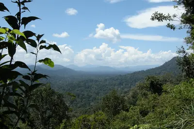 Malaysia Natur & Regenwald