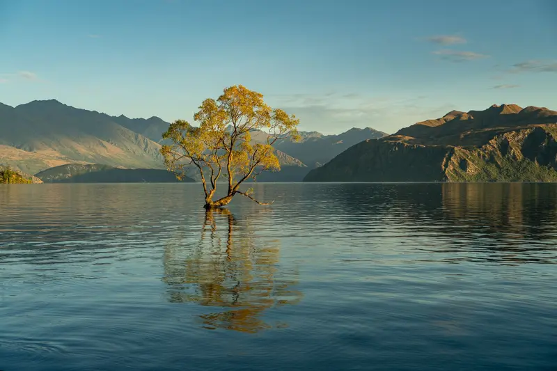 New Zealand: Comfy without a camper