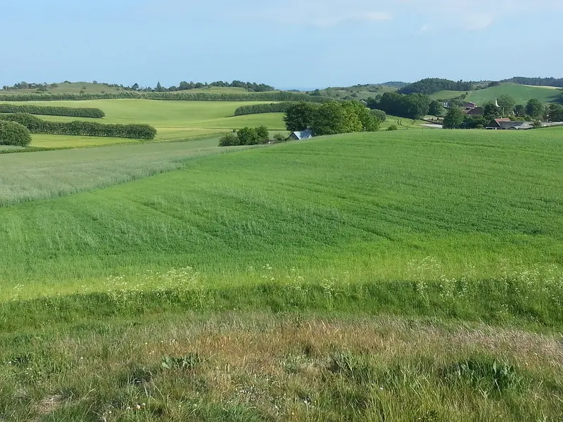 Agri Bavnehøj