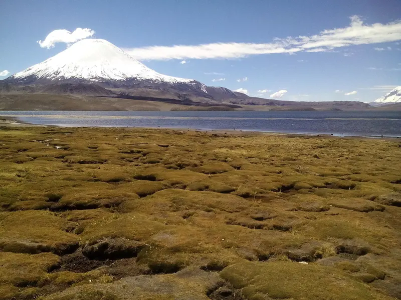 Lago Chungará