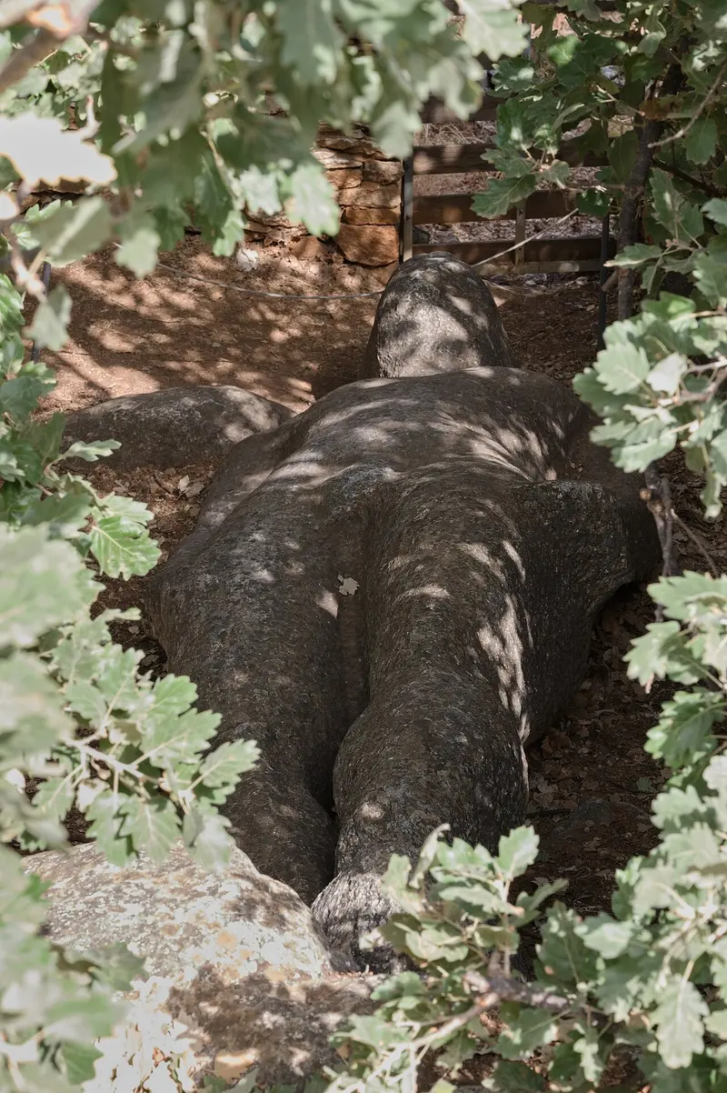Kouros von Melanes