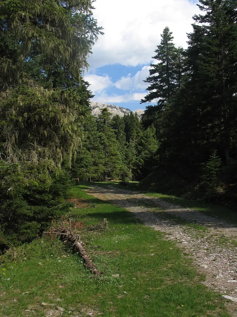 Pertouli und Elati im thessalischen Pindos