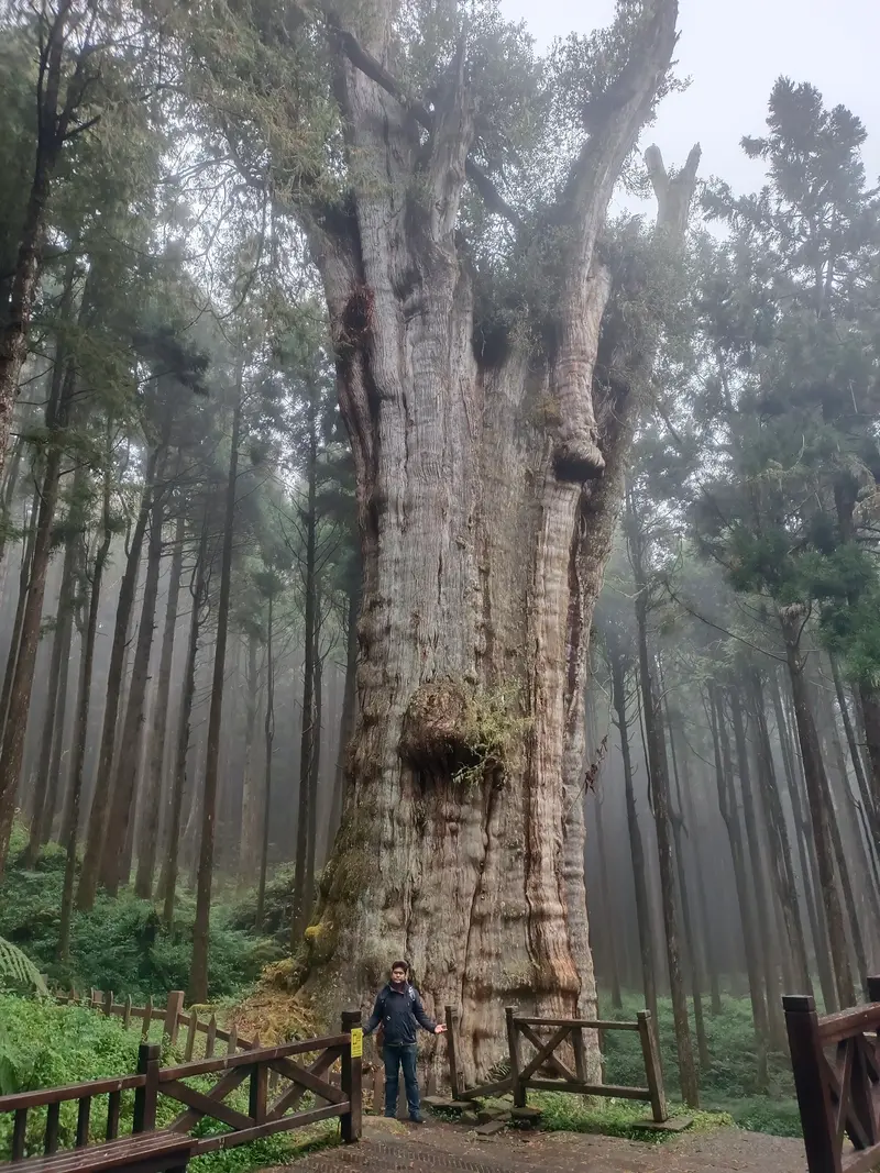 Shuishan-Riesenbaum