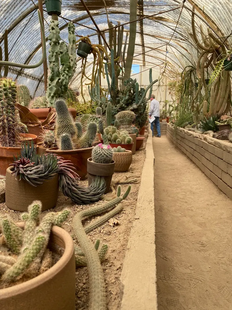 Moorten Botanical Garden