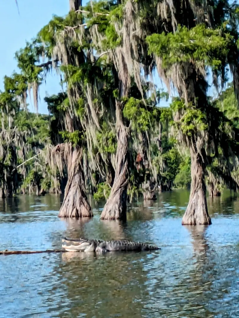 Lake Martin