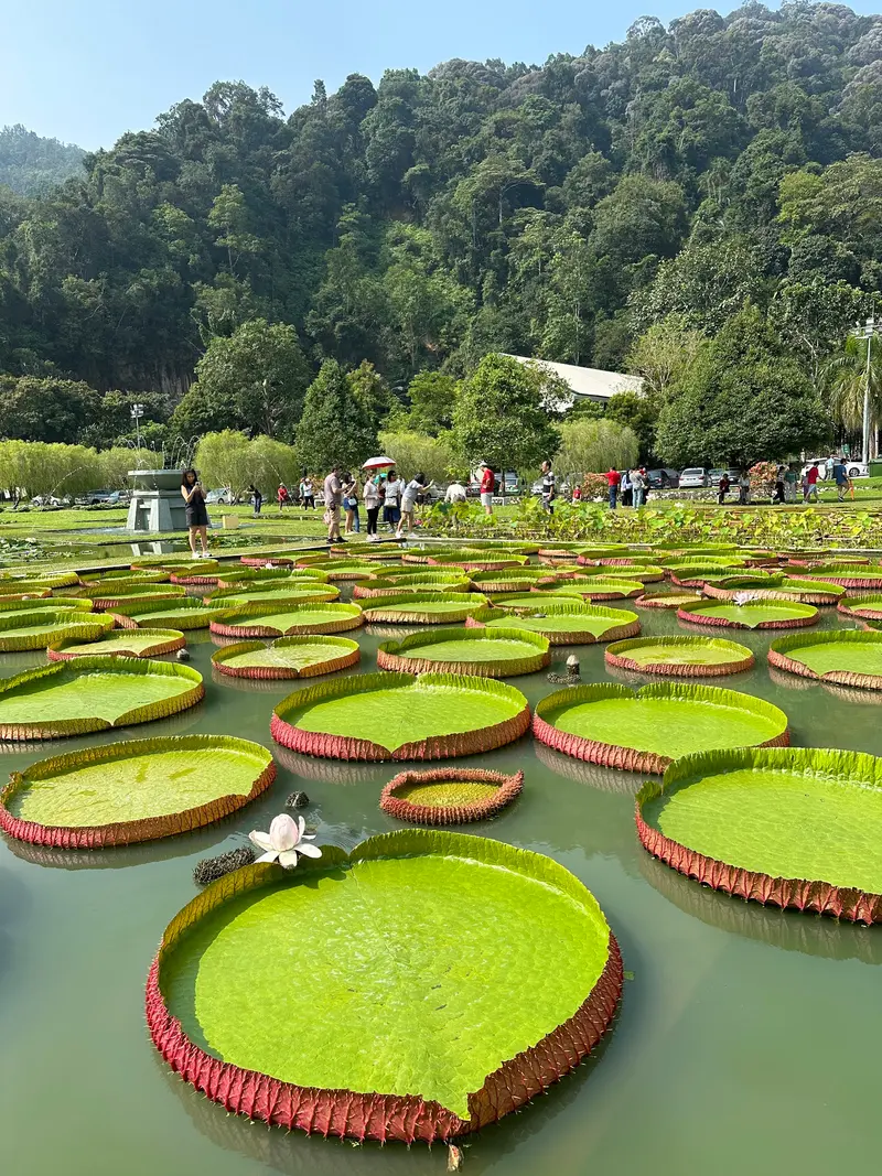 Penang Botanic Gardens