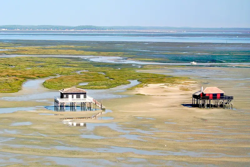 Cabanes tchanquées on the Île aux Oiseaux